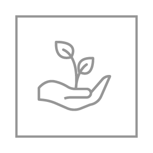 Garten-Hängematten: Langlebig und Stabil | Haengewelt.de